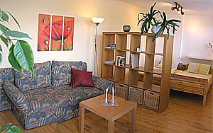 Mieszkanie /pokj mieszkalnosypialny jest podzielony na na pol drewnianym regalem